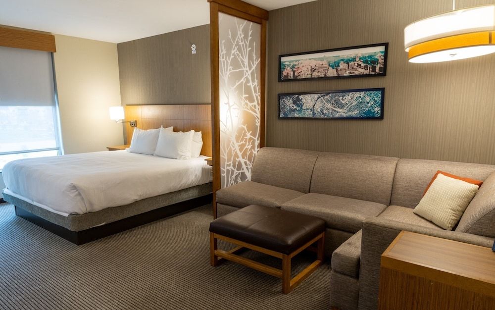 Suite, 1 King Bed with Sofa bed