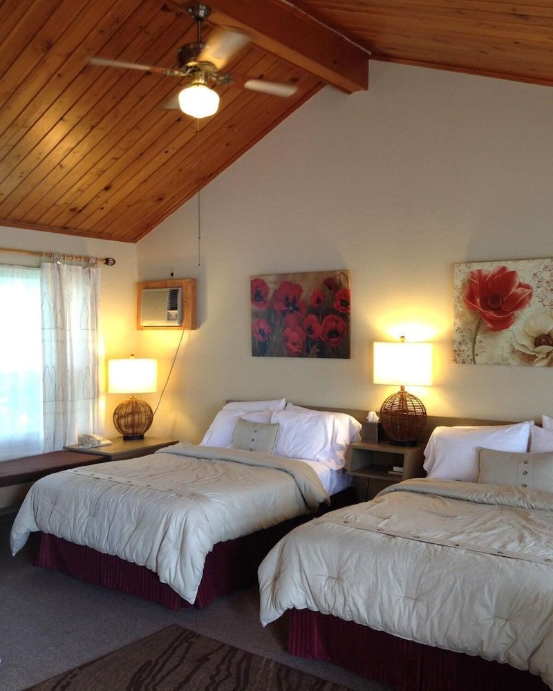 Vinehurst Inn And Suites Standard Room, 2 Double Beds 7