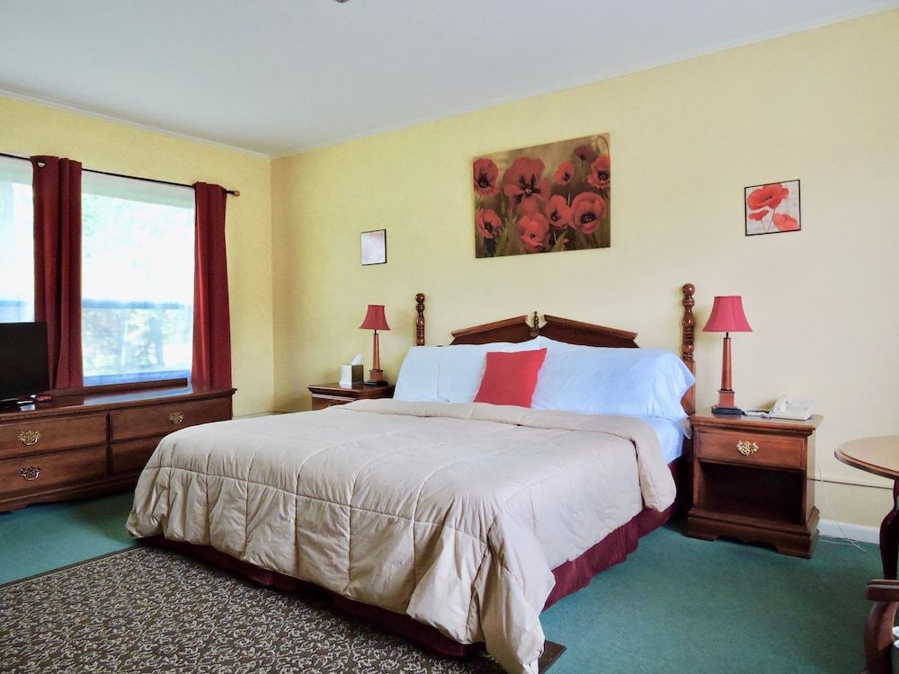 Vinehurst Inn And Suites Standard Room, 1 King Bed