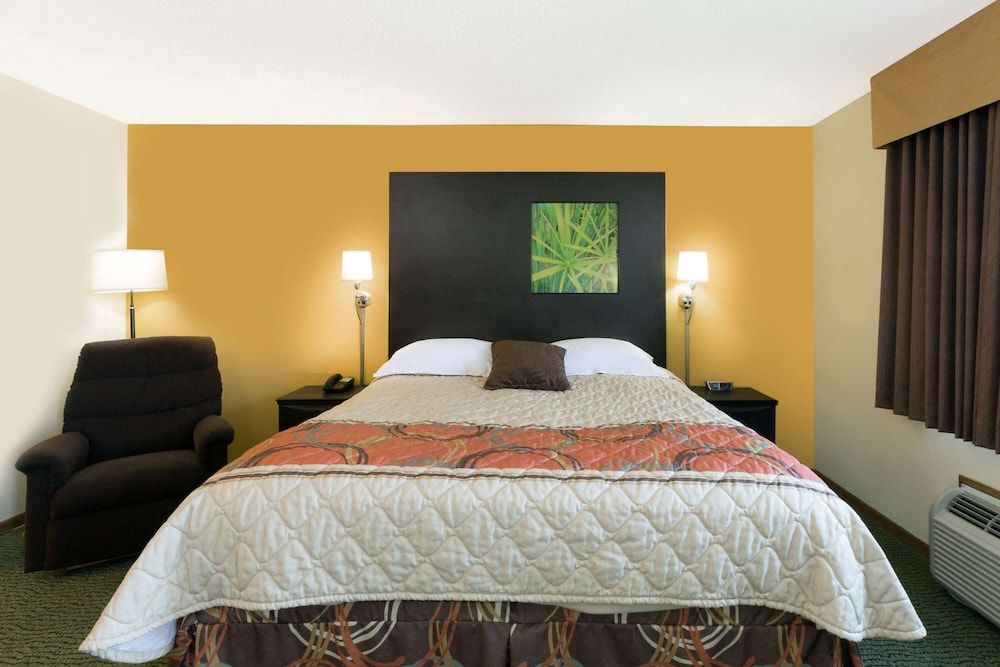 Room, 1 King Bed, Non Smoking