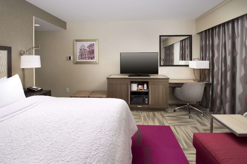 Room, 1 King Bed, Non Smoking, Refrigerator & Microwave