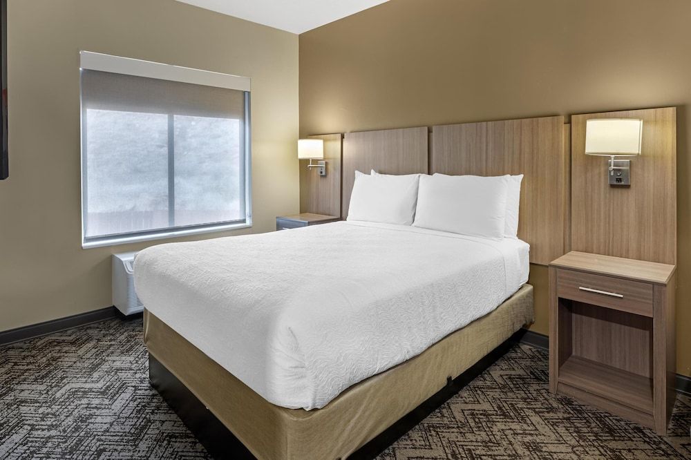 Suite, 1 King Bed, Non Smoking, Refrigerator & Microwave (with Sofabed)