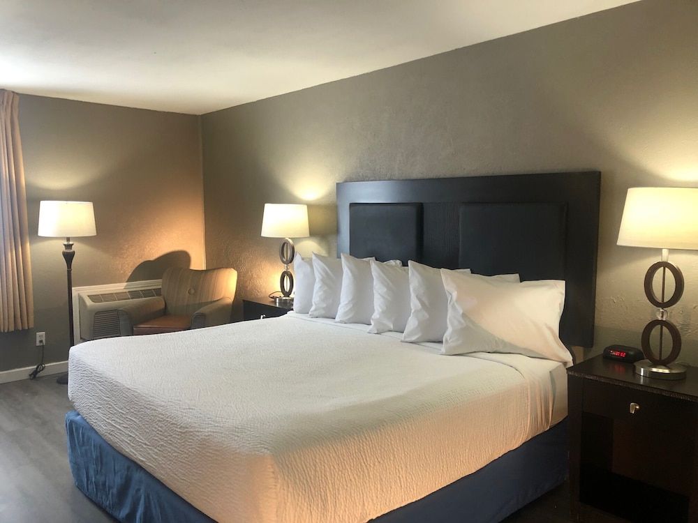 Standard Single Room, 1 King Bed (Complimentary Hot Breakfast Buffet)