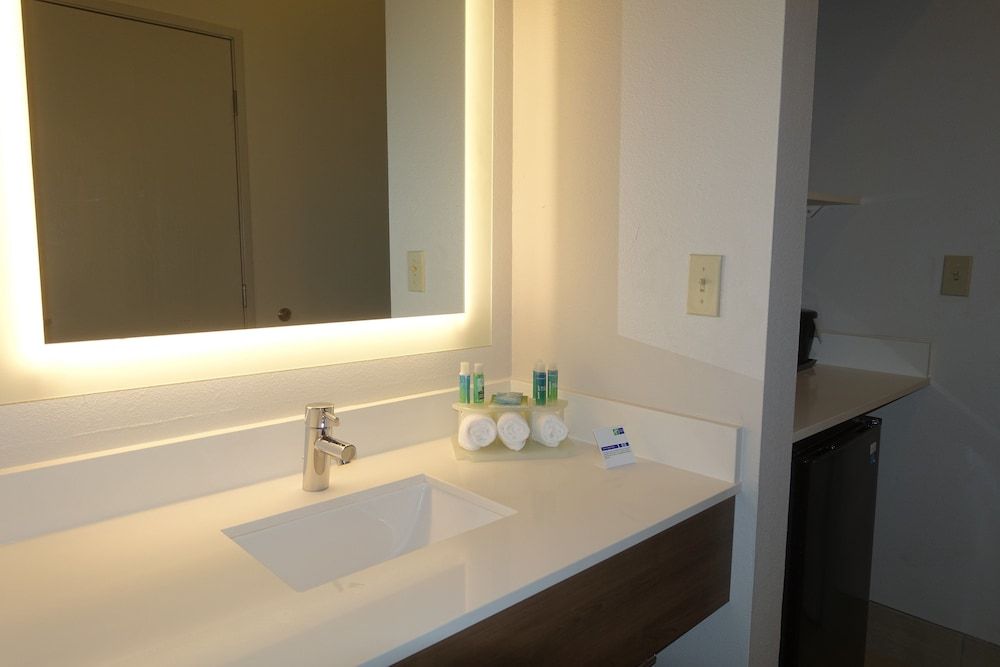 Suite, 1 King Bed with Sofa bed