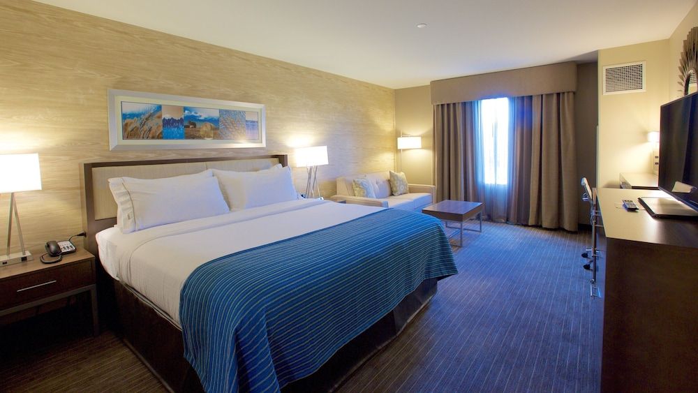 Standard Room, 1 King Bed, Accessible (Roll-In Shower)