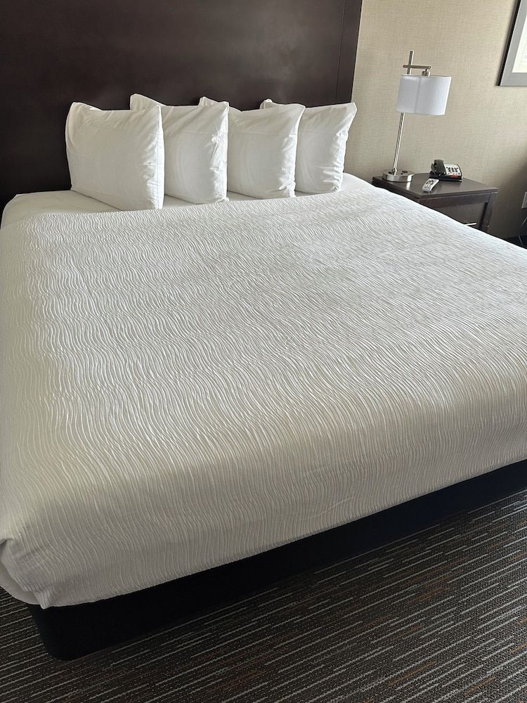 Studio Suite, 1 King Bed, Refrigerator & Microwave