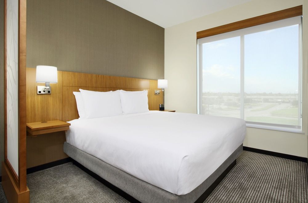 Room, 1 King Bed with Sofa bed