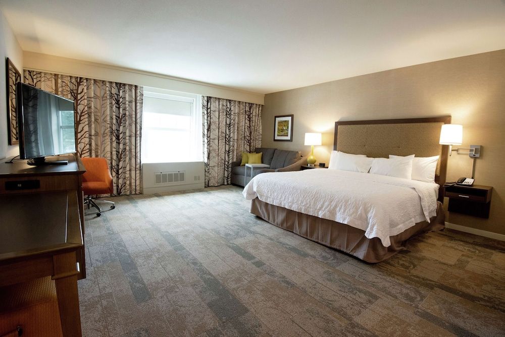 Room, 1 King Bed with Sofa bed, Non Smoking, Refrigerator & Microwave