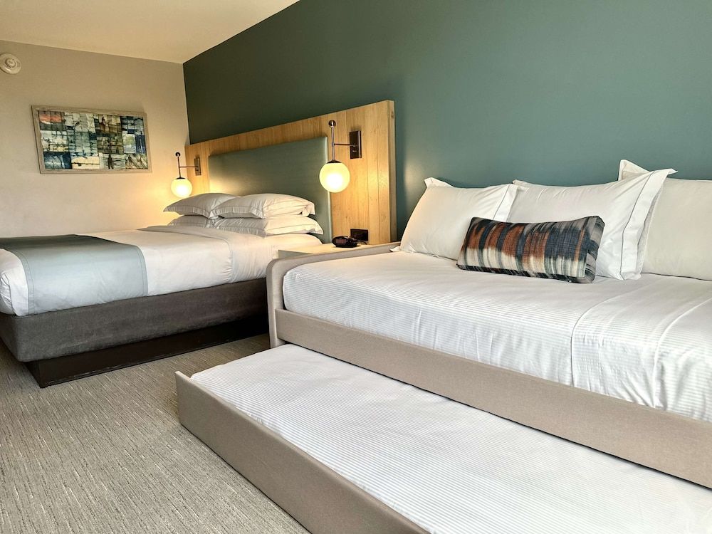 Family Studio Suite, Multiple Beds (1 King Bed, Sofa Bed and Trundle)