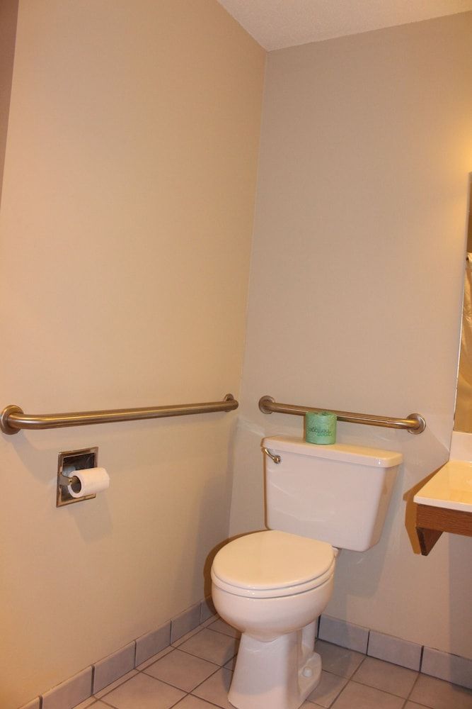 Room, 1 Queen Bed, Mobility Accessible, Non Smoking (Bathtub w/ Grab Bars, Pet Friendly)