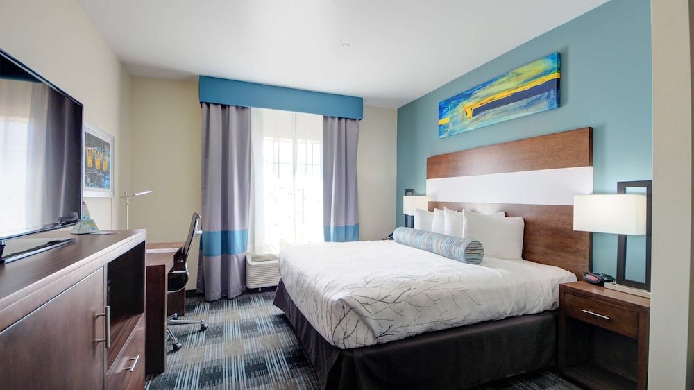 Suite, 1 King Bed, Non Smoking, Refrigerator & Microwave (with Sofabed)