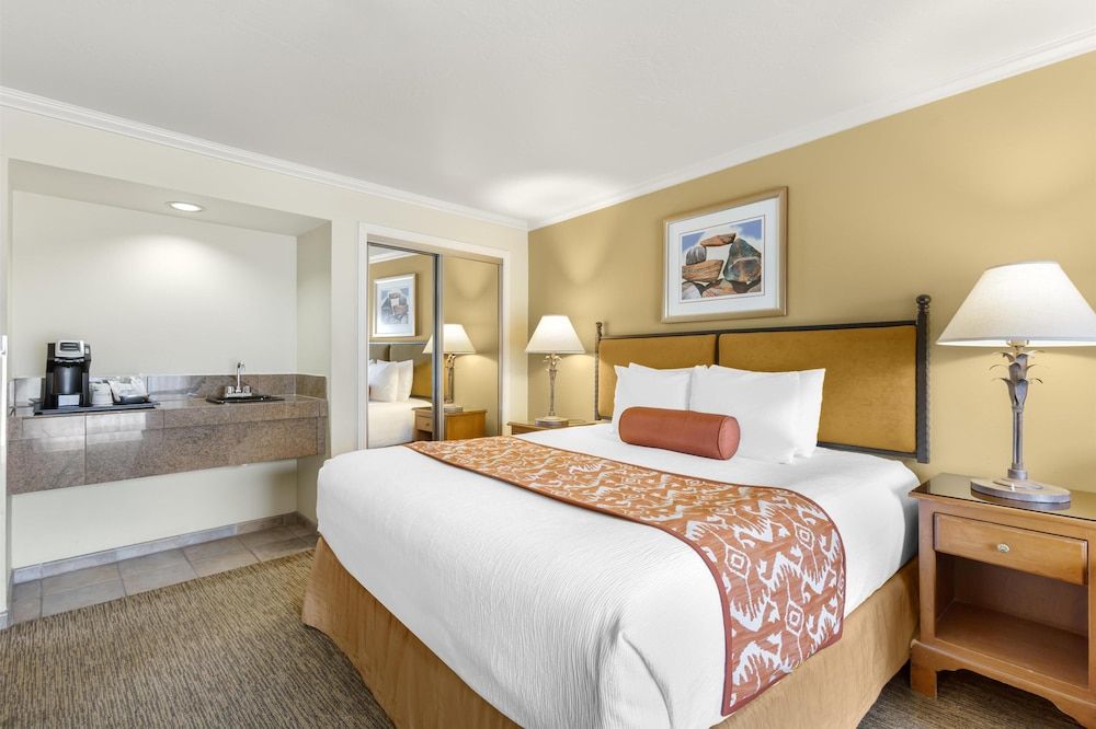 Standard Room, 1 King Bed, Non Smoking, Refrigerator (with Sofabed)