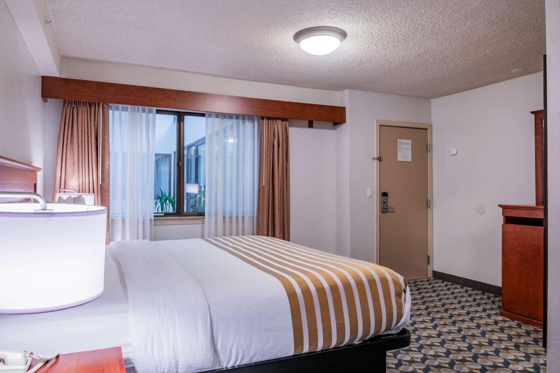 Accessibility - 1 King Bed, Roll-in Shower, Nonsmoking