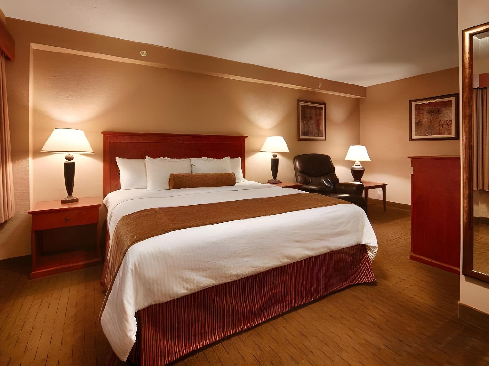 Accessibility - 1 King Bed, Roll-in Shower, Nonsmoking