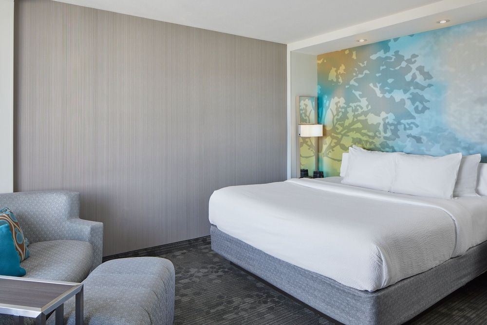 Room, 1 King Bed with Sofa bed