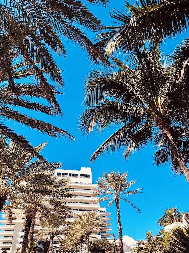 undefined Nobu Hotel Miami Beach 4