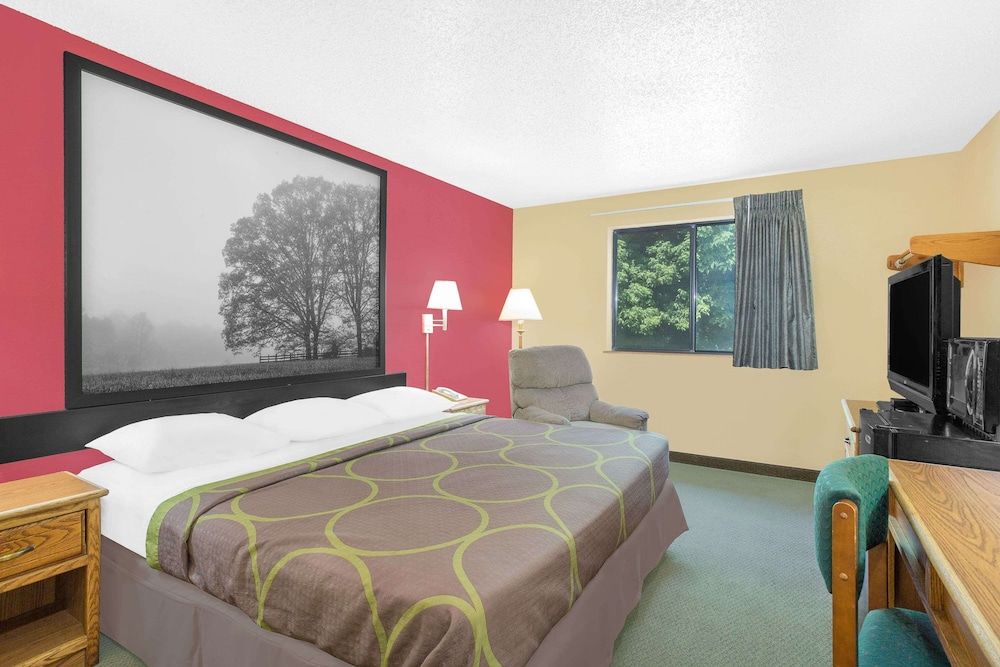 Room, 1 King Bed, Smoking