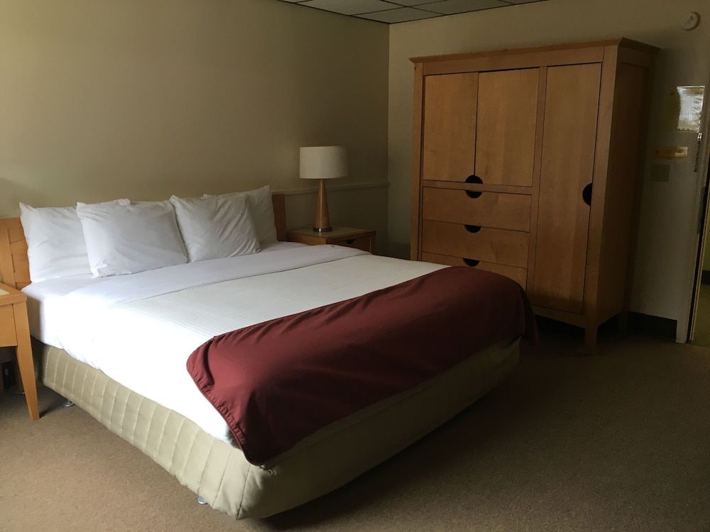 Single Room, 1 King Bed