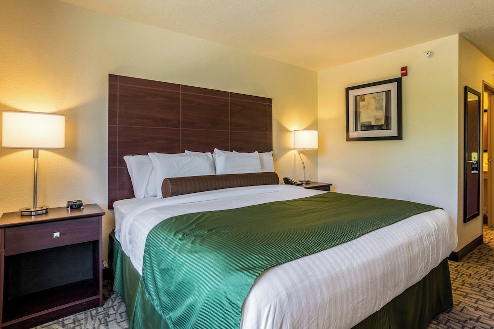 Cobblestone Hotel & Suites - Erie Room, 1 King Bed, Bay View 3