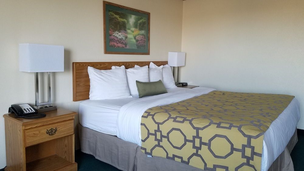 Room, 1 King Bed, Non Smoking