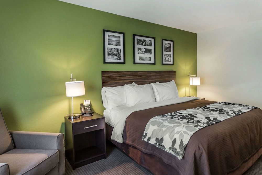 Standard Room, 1 King Bed, Non Smoking