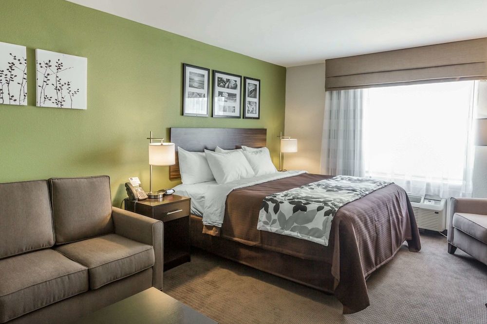 Suite, 1 King Bed with Sofa bed, Non Smoking
