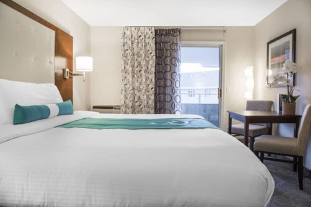 Aqua Blue Hotel The Surf 2