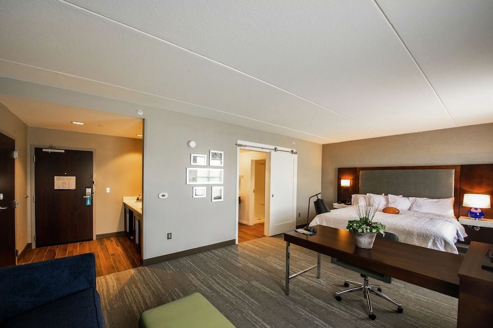 Studio, 1 King Bed with Sofa bed (Microwave, Shower)