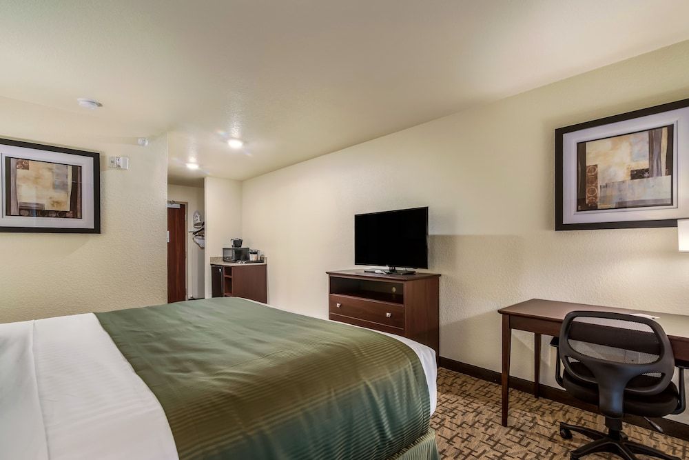 Room, 1 King Bed, Non Smoking (Guestroom)