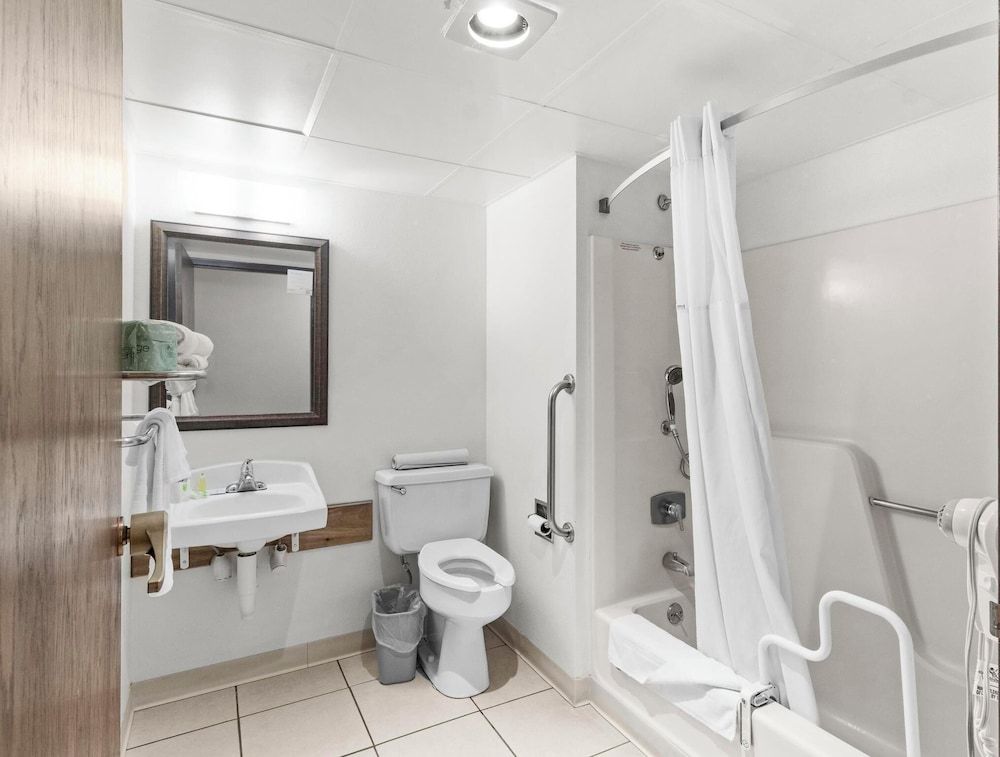 Room, 1 King Bed, Mobility Accessible, Non Smoking (Bathtub W/grab Bars)