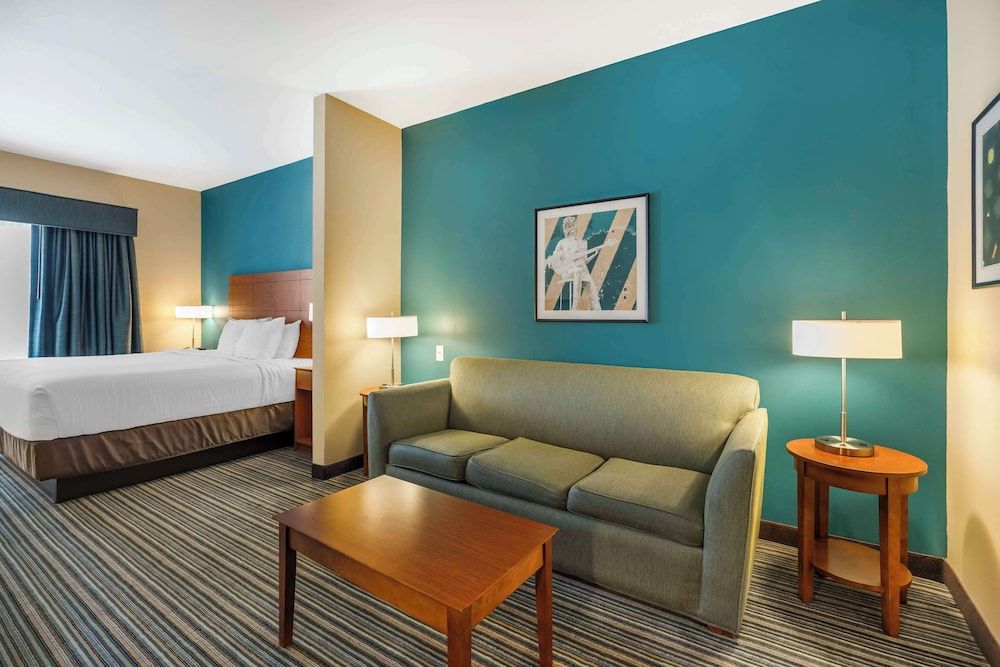 Suite, 1 King Bed, Non Smoking, Refrigerator & Microwave (with Sofabed)