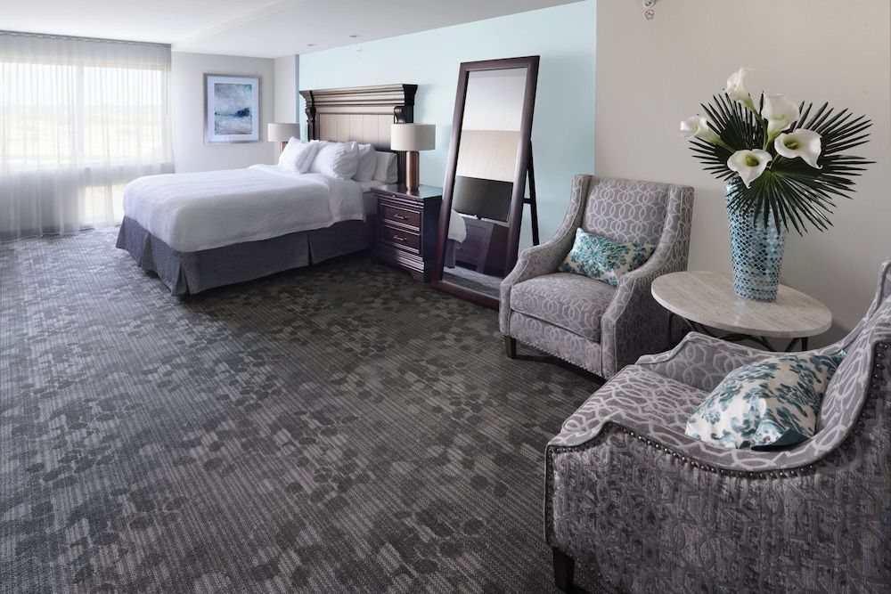 Suite, 1 King Bed with Sofa bed