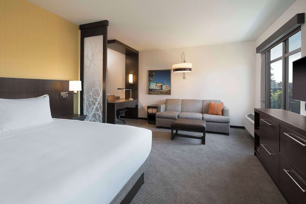 Room, 1 King Bed with Sofa bed (High Floor)