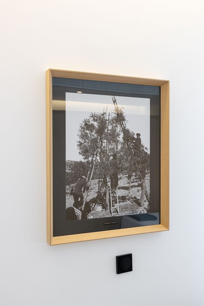 Évora Olive Hotel Elite Double Room 8