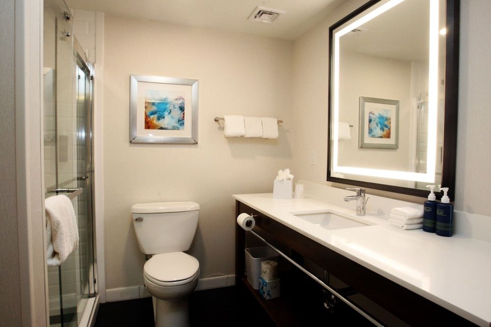 Room, 1 King Bed, Non Smoking (Mobility/Hearing Accessible, Tub)
