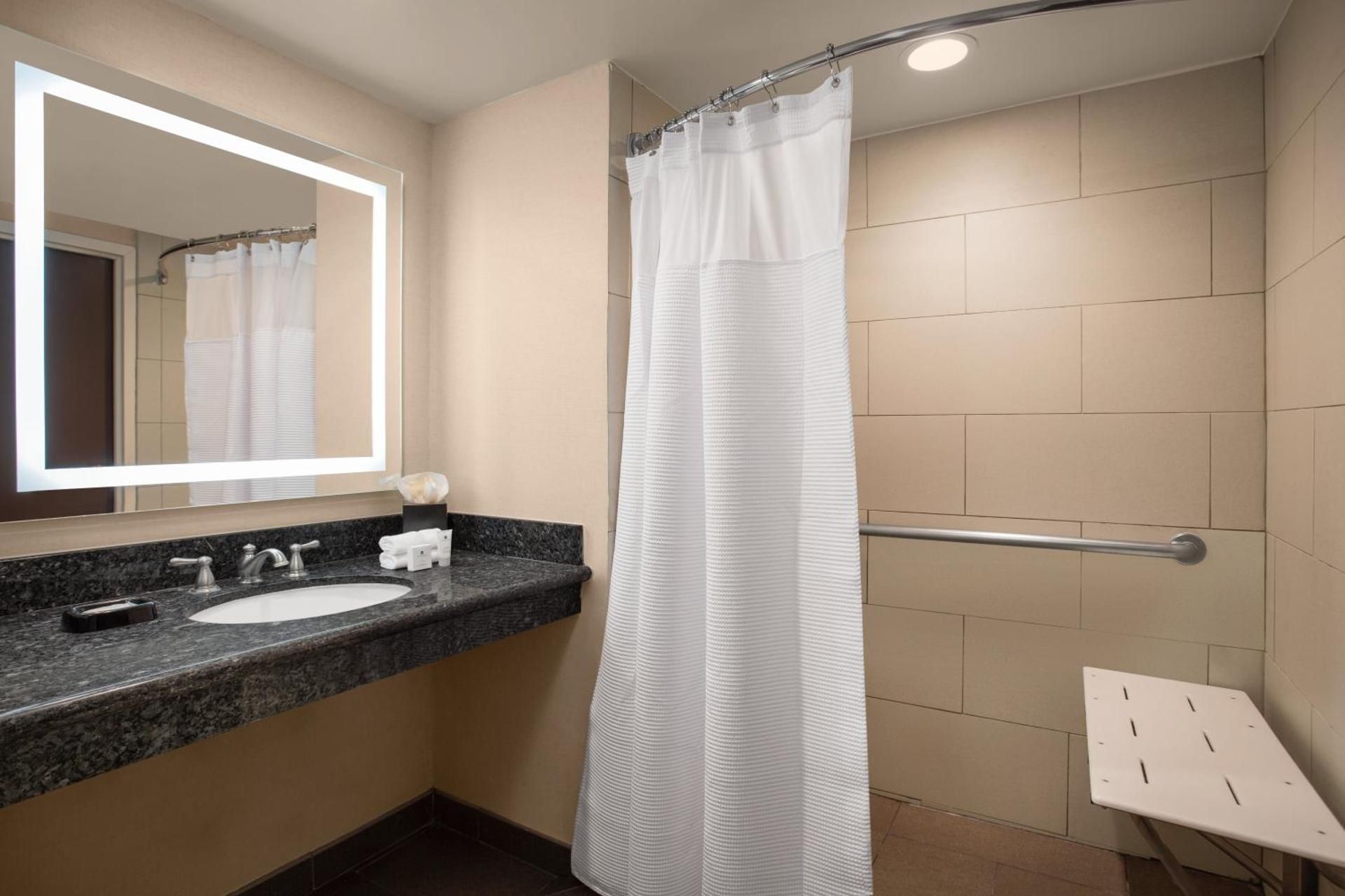 1 King Bed Standard Comm Accessible