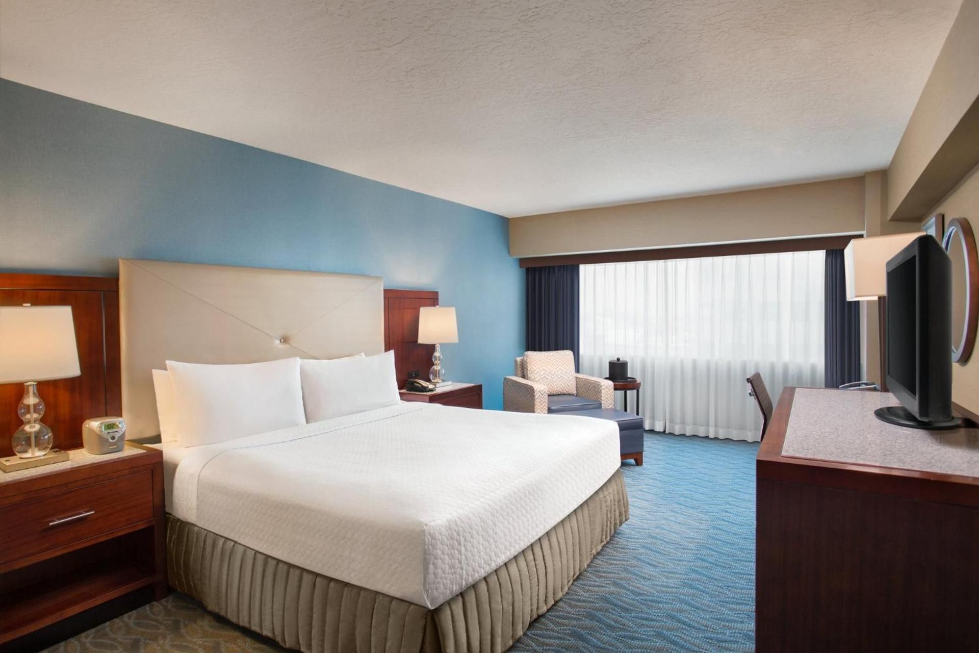 1 King Bed Junior Suite