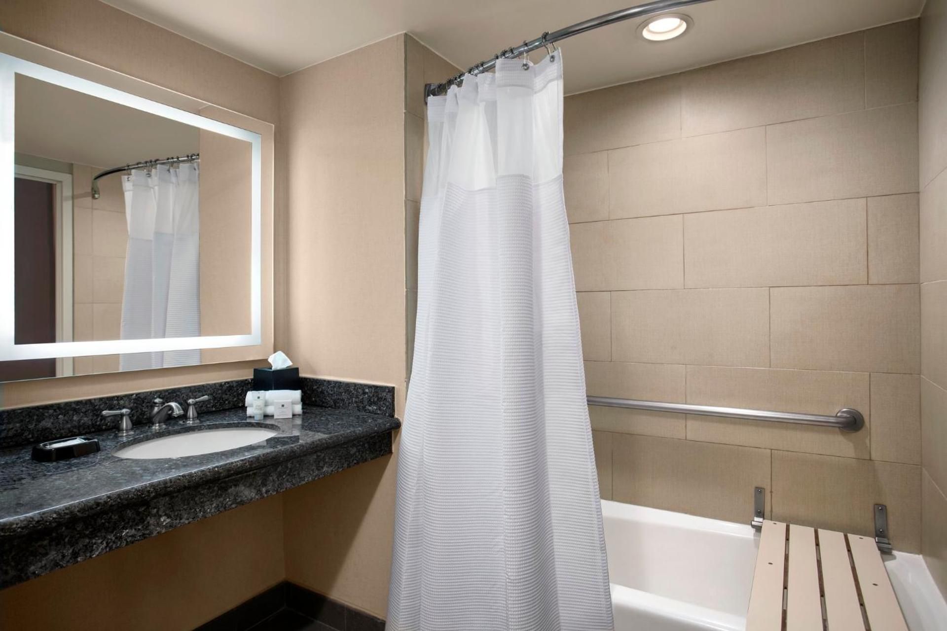 1 King Bed Standard Mobil Access Tub