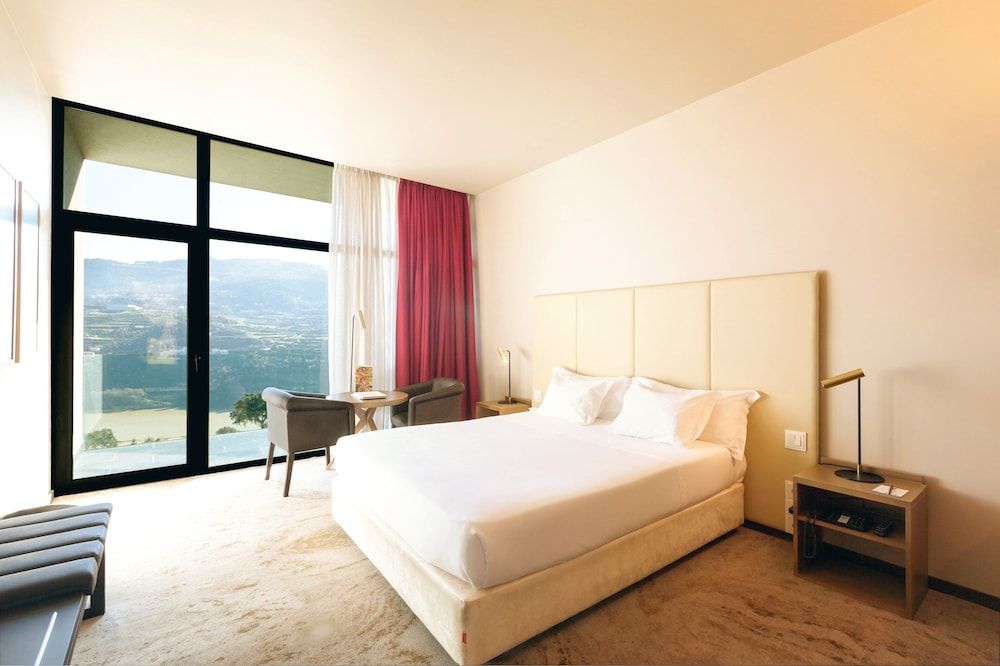 Douro Palace Hotel Resort and Spa Double Room, River View 2