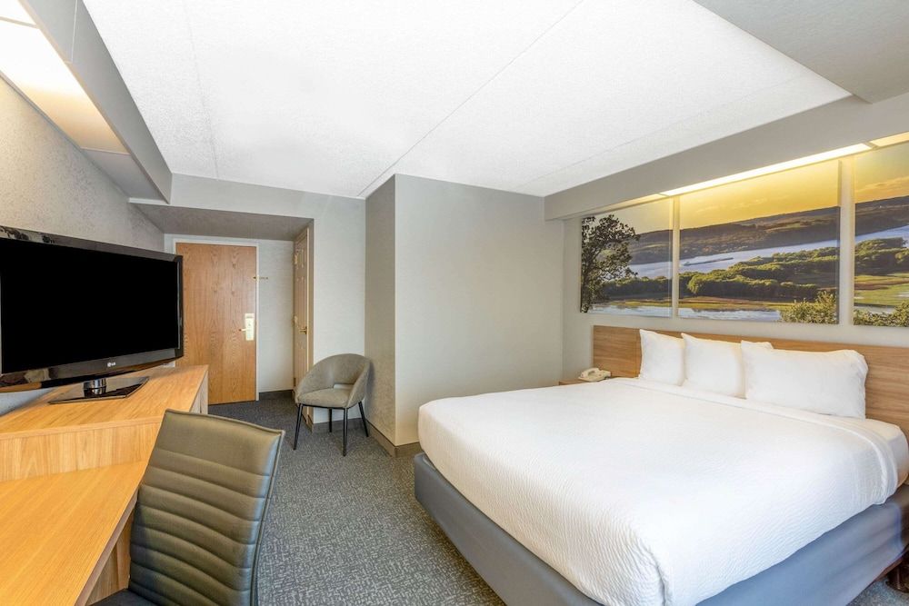 Suite, 1 King Bed with Sofa bed, Non Smoking (Newly Renovated)