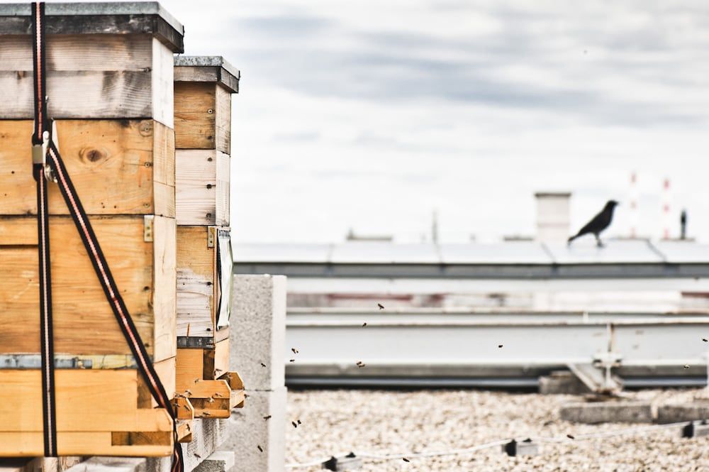 undefined Hotel Daniel Vienna 8