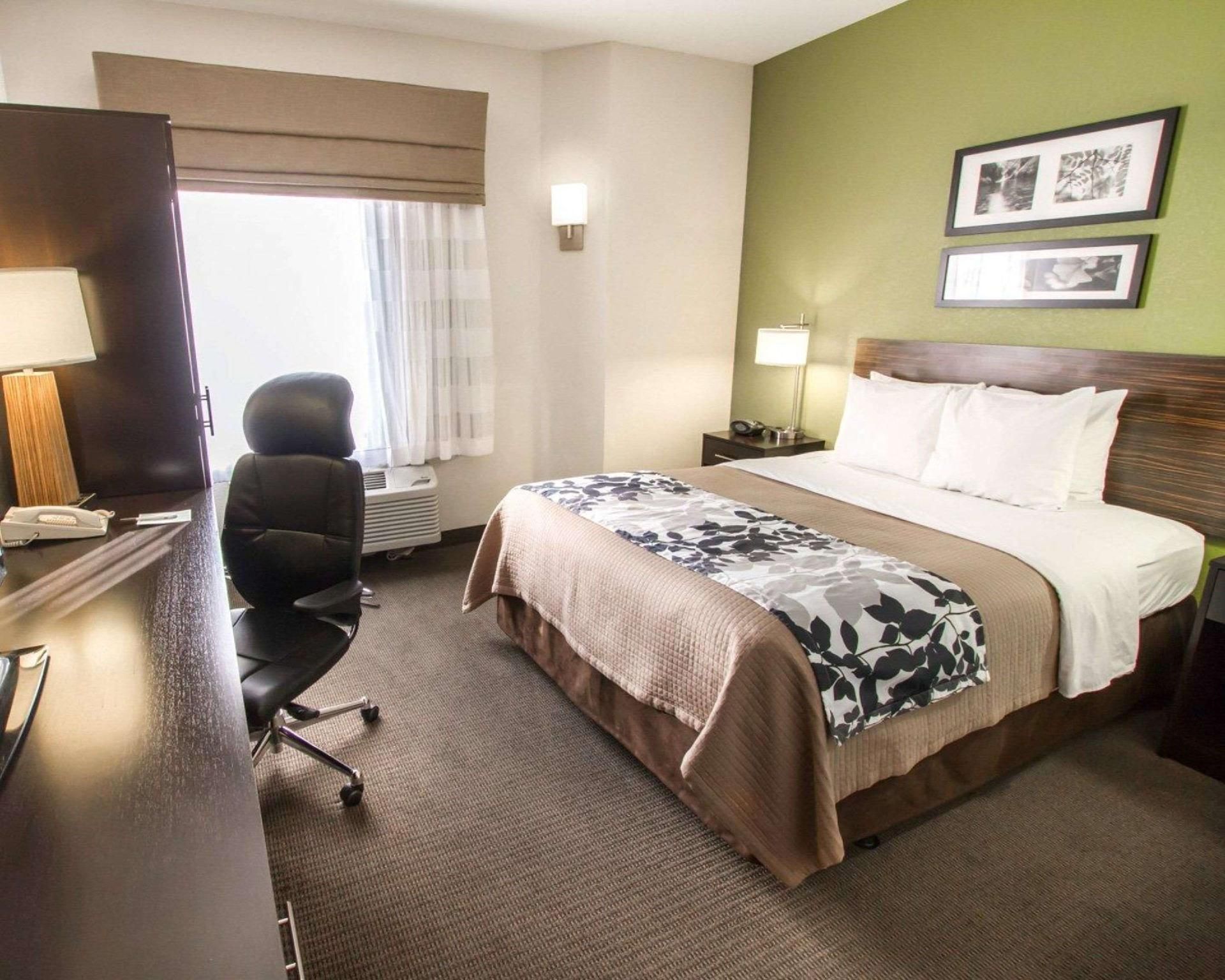 1 Queen Bed, Nonsmoking, Accessible