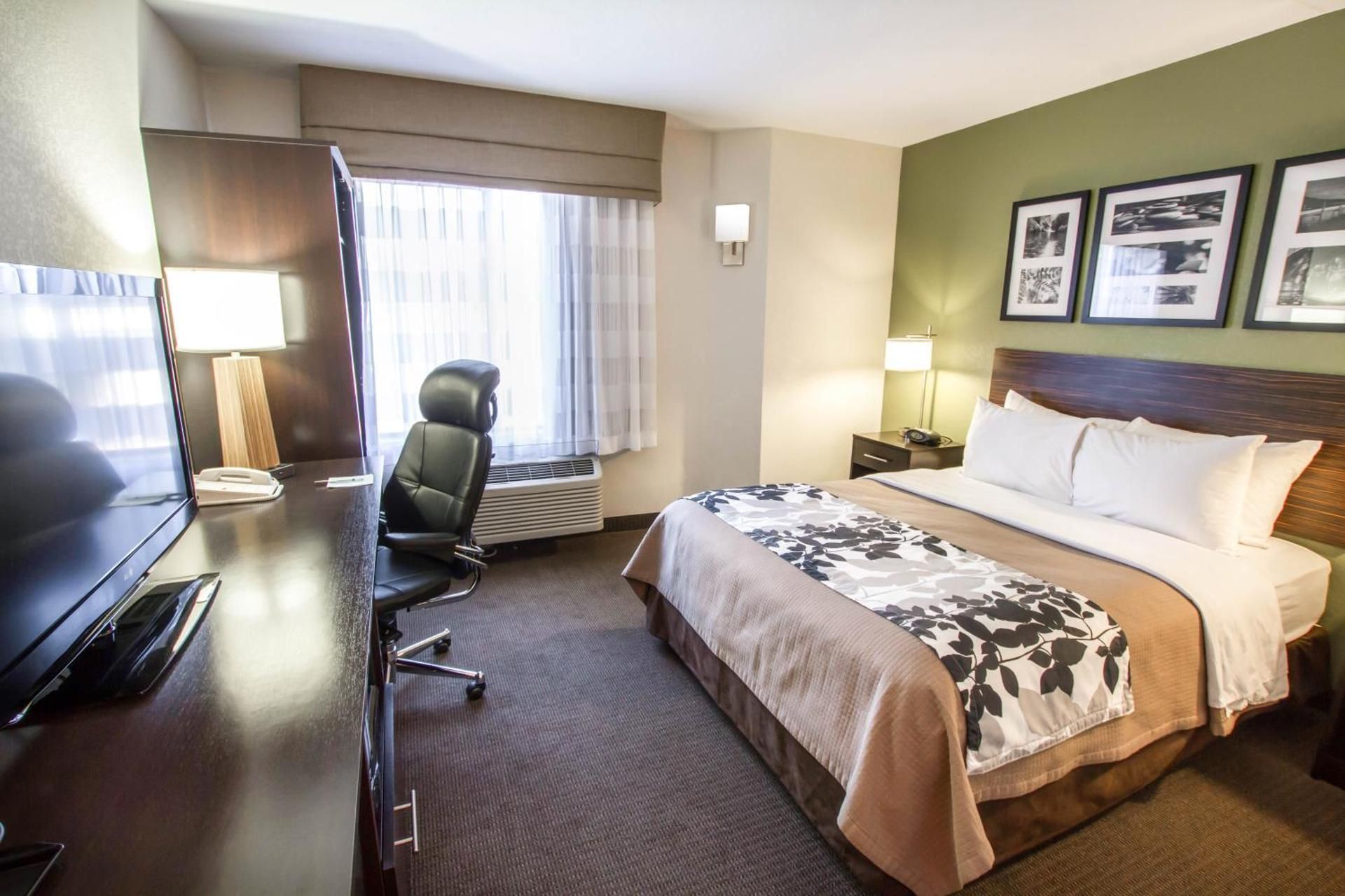 1 King Bed Nonsmoking