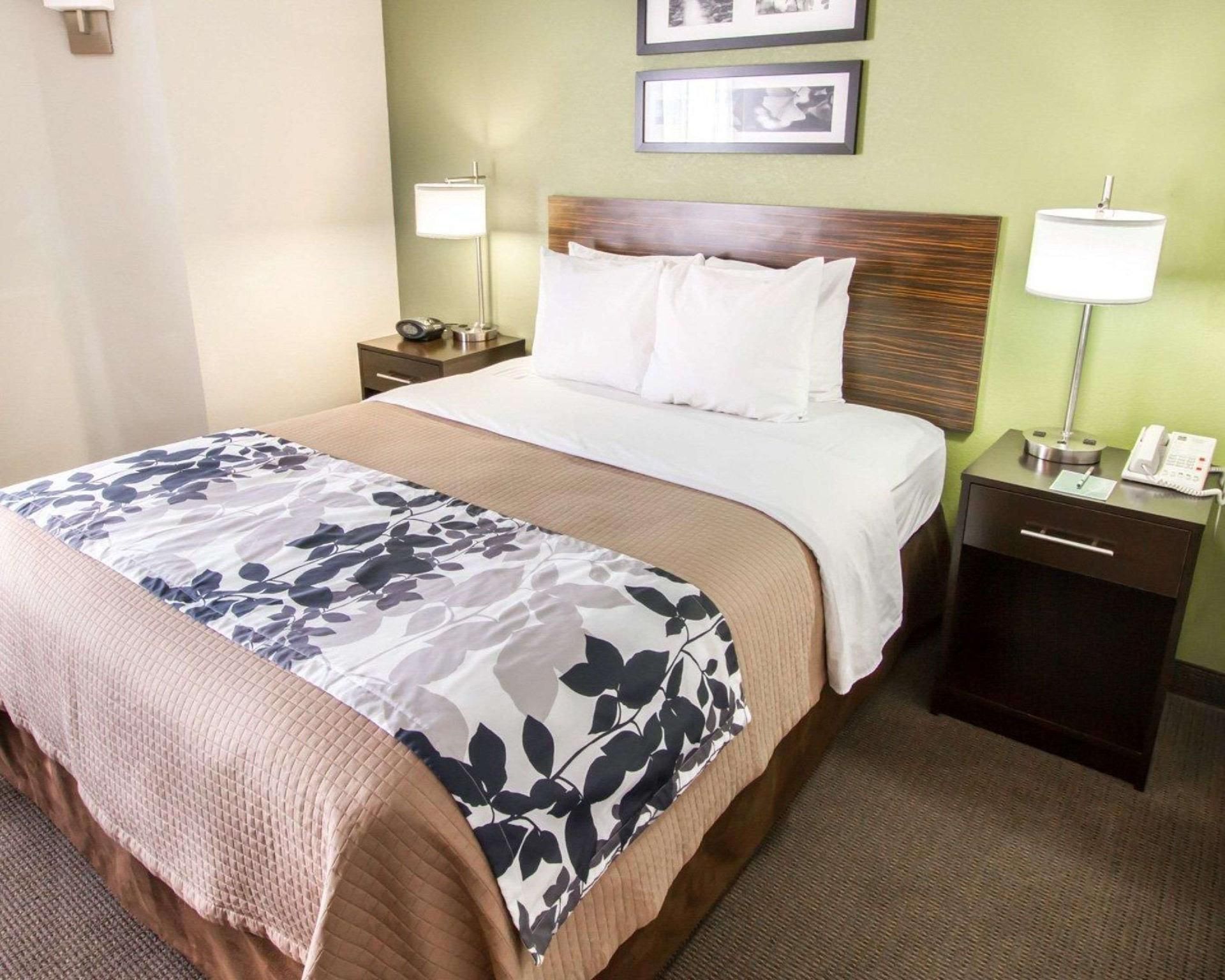 1 Queen Bed, Nonsmoking, Accessible