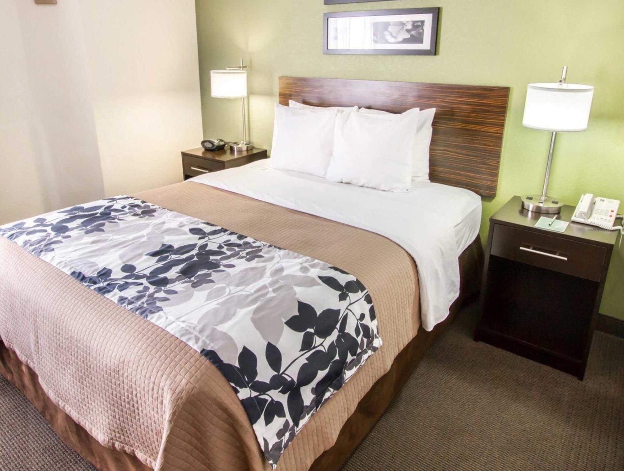 1 King Bed Nonsmoking
