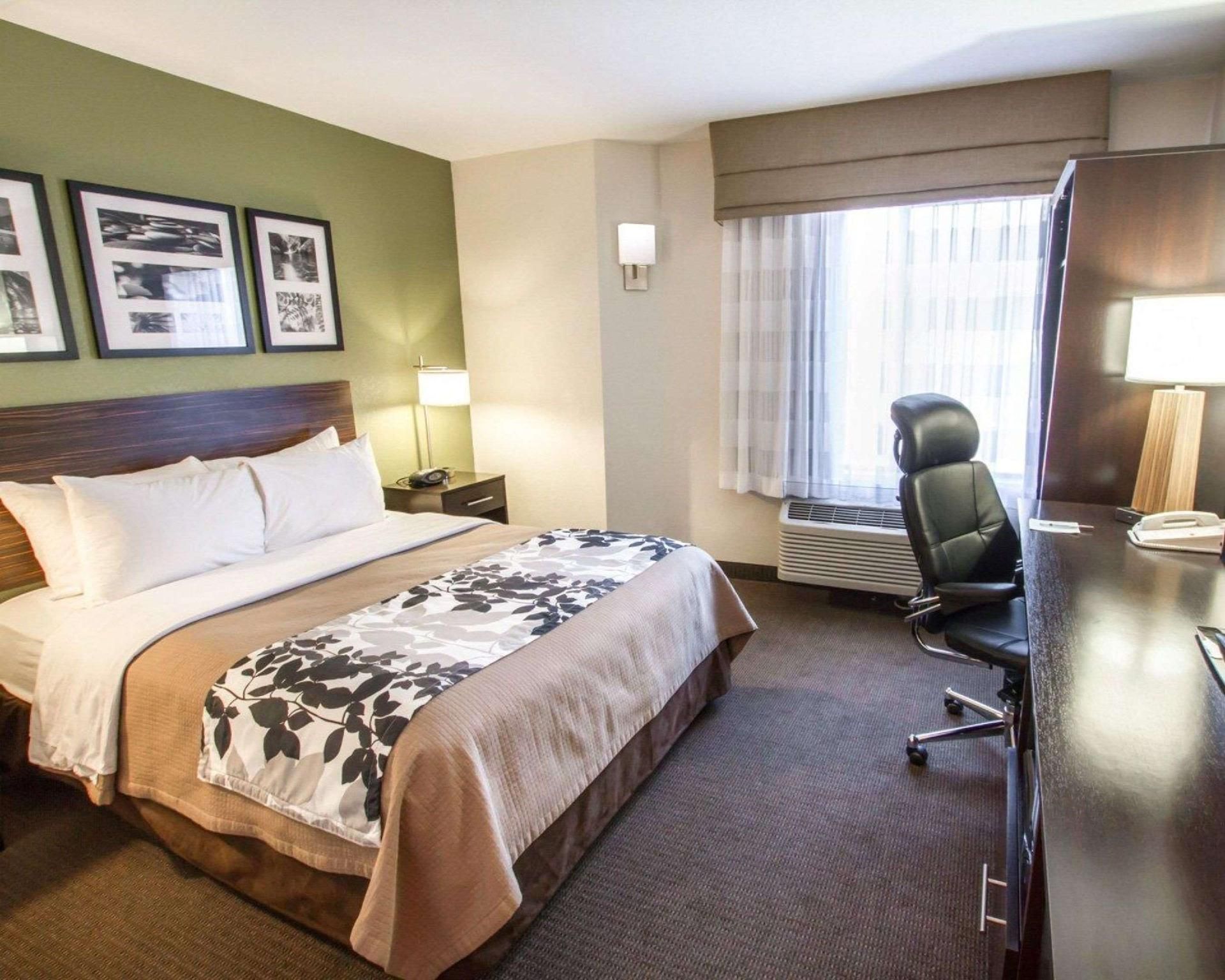 1 King Bed, Nonsmoking