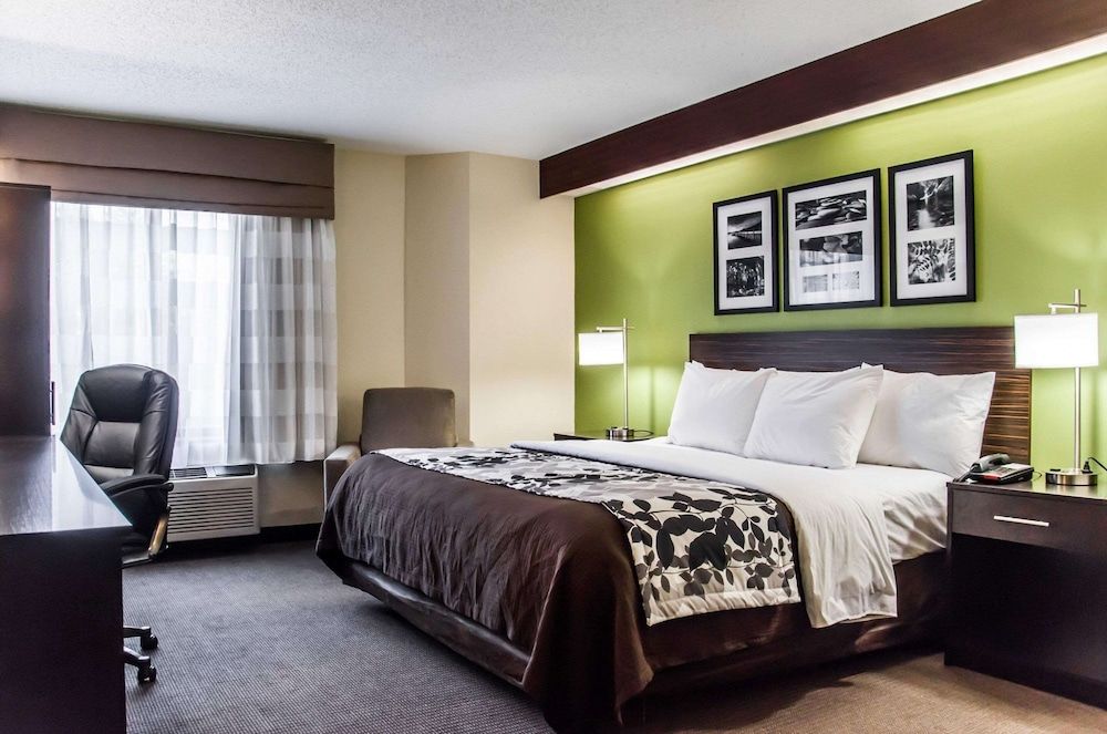 Standard Room, 1 King Bed, Non Smoking