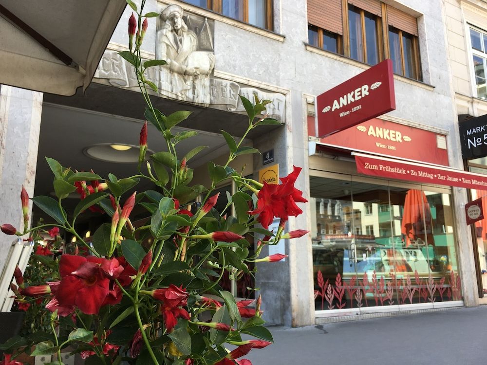 undefined Heart of Vienna Homes 4