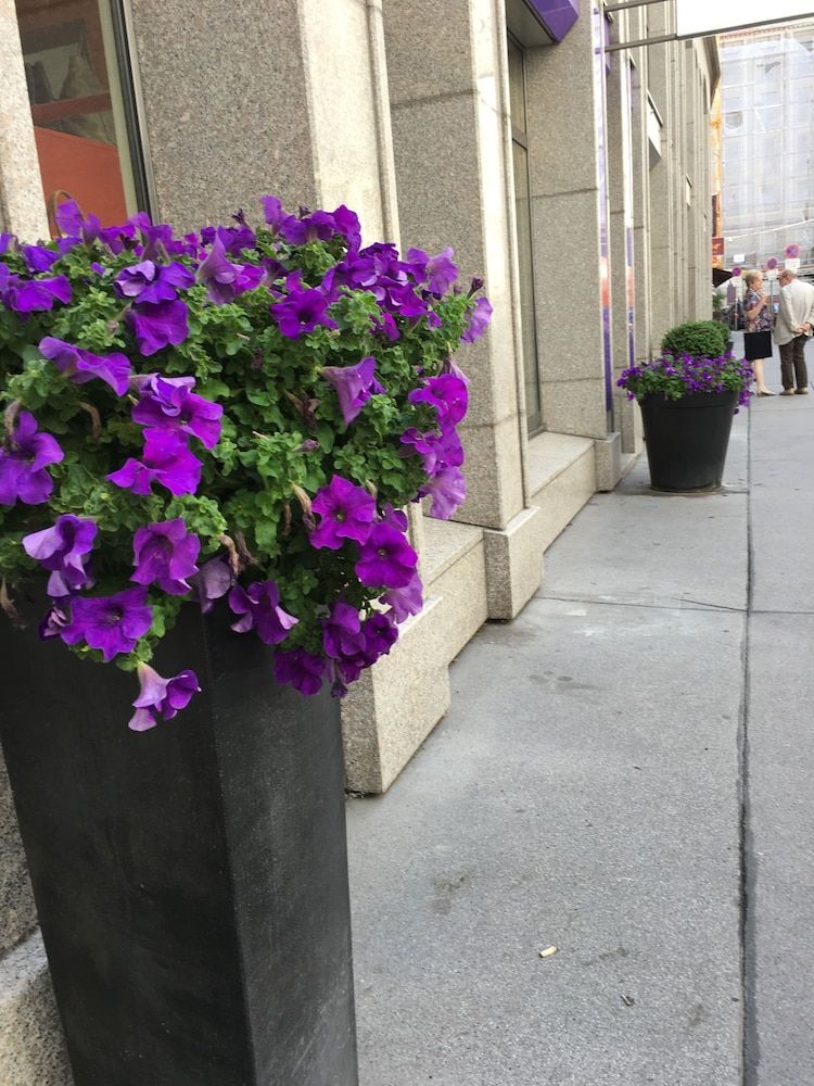 undefined Heart of Vienna Hoher Markt 7