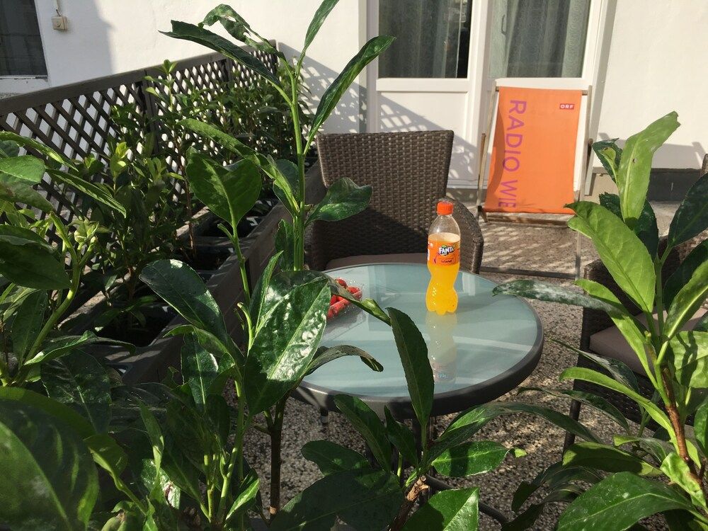 Heart of Vienna Hoher Markt Deluxe Studio, Terrace, City View (including € 43 cleaning fee ) 3